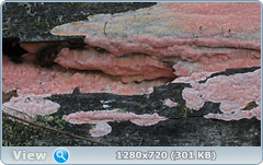 0_fc466_807b040e_orig.png