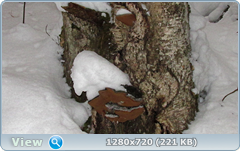 0_fb607_44d240f9_orig.png