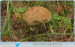 0_ef6a5_9376670d_orig.png