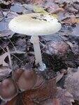 0_7070c_8dfd1838_S.jpg