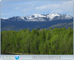 0_f9614_8b2f6b58_orig.png