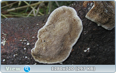 0_e9502_748d709c_orig.png