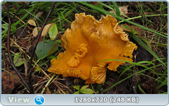 0_ead10_34ffc48d_orig.png