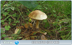 0_ef369_1b5075ba_orig.png
