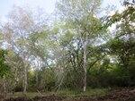 0_7058b_c4e37ac2_S.jpg