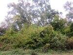 0_70712_629f2788_S.jpg