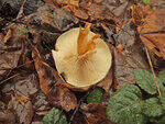 0_a1ff7_91d00097_S.jpg