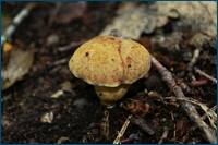 0_cf488_24b3951a_orig.jpg