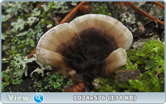 0_12ab8b_53ef04a3_orig.png