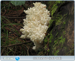 0_eb060_e75b3f3a_orig.png