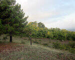 0_6e90f_36235849_S.jpg
