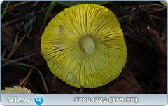 0_edad1_658168c8_orig.png