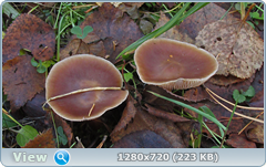 0_f37e6_625ac238_orig.png