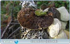 0_f383e_221ed6ac_orig.png