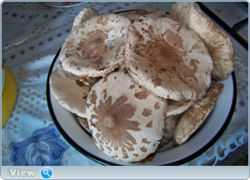 0_f3e63_efd049a9_orig.png