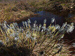 0_abd7b_a3d27939_S.jpg