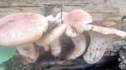 0_94b09_f8acbb83_M.jpg