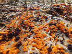 0_b7d9f_6e3252b7_S.jpg