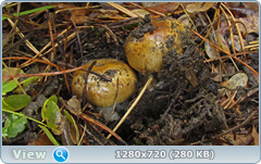 0_f2792_bfc59989_orig.png