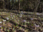 0_abd73_c144d708_S.jpg