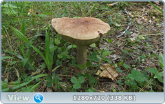 0_ef36d_d30c3759_orig.png