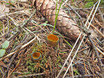 0_b87c0_90971ffc_S.jpg