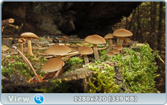 0_e956e_d35df2cc_orig.png