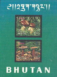 0_97ba6_bb03a7c1_M.jpg
