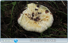 0_fb9f0_566dc117_orig.png