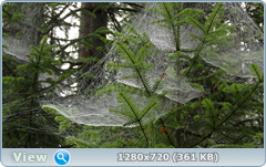 0_e909b_b745c1b1_orig.png