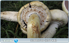 0_e9b47_3d73948d_orig.png