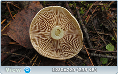 0_f275a_214951ab_orig.png
