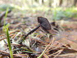 0_b8772_65811b1b_S.jpg