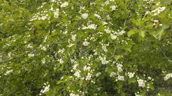 0_94aee_ace9b43b_M.jpg