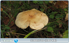 0_f1645_c132ff56_orig.png