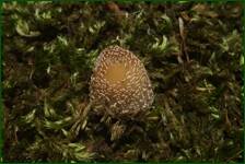 0_fc820_85578f9d_orig.jpg