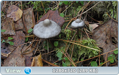 0_f3856_8b077c04_orig.png