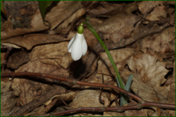 0_e027c_b1a5994e_orig.png