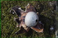 0_e0c55_b41bceb2_orig.png