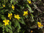 0_ac298_fd102e19_S.jpg