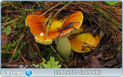 0_eacf0_e7611c7a_orig.png
