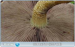 0_f0321_72ae38c6_orig.png