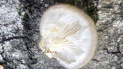 0_94b0e_99ed6c13_L.jpg