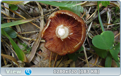 0_ef3be_92c2856c_orig.png
