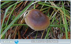 0_f2f9b_7bb71661_orig.png
