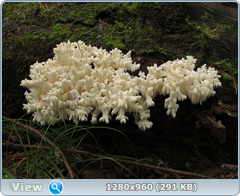 0_eb05e_ec80a26_orig.png