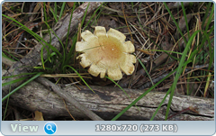 0_ef355_f91b67cc_orig.png