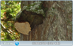 0_f309b_90b162c5_orig.png