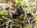 0_b8775_4012dec4_S.jpg