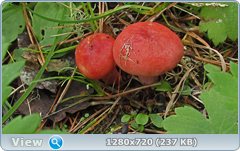 0_fbb50_4ace9ccd_orig.png